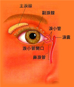 眼眶病,?，斎鹨曆劭?上海眼科醫(yī)院