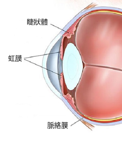 眼表眼角膜,希瑪瑞視眼科,上海眼科醫(yī)院