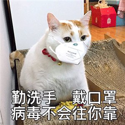 眼表眼角膜,?，斎鹨曆劭?上海眼科醫(yī)院