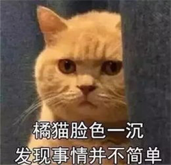 青光眼,?，斎鹨曆劭?上海眼科醫(yī)院