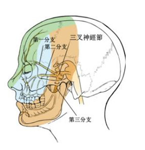 眼表眼角膜,?，斎鹨曆劭?上海眼科醫(yī)院