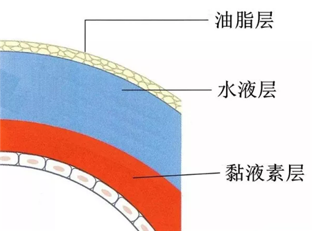 眼表眼角膜,?，斎鹨曆劭?上海眼科醫(yī)院